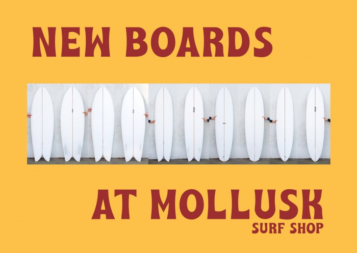 New+boards+at+mollusk+Nov.2019
